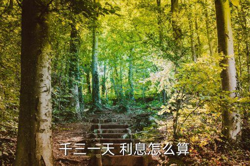 千三一天 利息怎么算