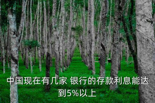 中國現(xiàn)在有幾家 銀行的存款利息能達(dá)到5%以上