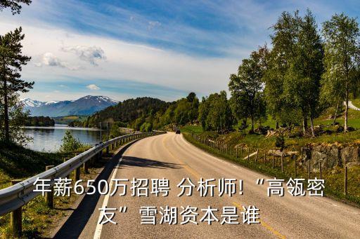 年薪650萬(wàn)招聘 分析師!“高瓴密友”雪湖資本是誰(shuí)