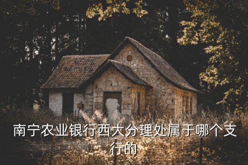  南寧農(nóng)業(yè)銀行西大分理處屬于哪個支行的