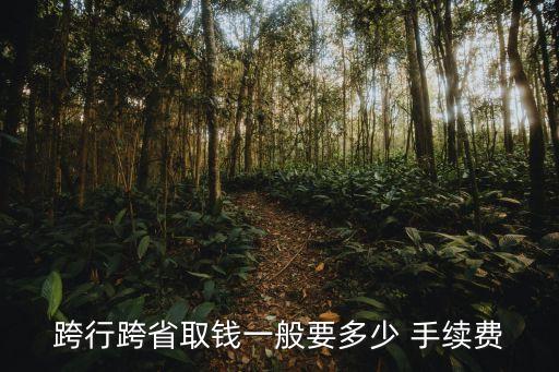 跨行跨省取錢一般要多少 手續(xù)費(fèi)