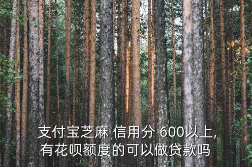  支付寶芝麻 信用分 600以上,有花唄額度的可以做貸款嗎