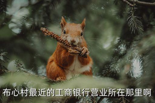 布心村最近的工商銀行營業(yè)所在那里啊