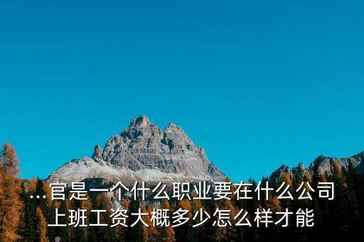 ...官是一個什么職業(yè)要在什么公司上班工資大概多少怎么樣才能