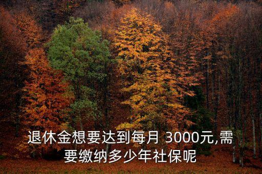 3000為基礎(chǔ)交多少養(yǎng)老保項(xiàng)目,每年交3000的養(yǎng)老能領(lǐng)多少