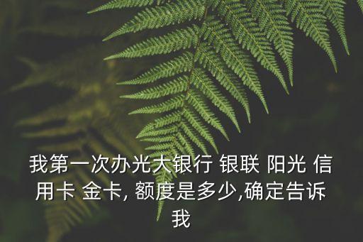 陽光信用銀聯(lián)金卡額度多少錢,銀聯(lián)標(biāo)準(zhǔn)信用金卡(招商銀行)額度