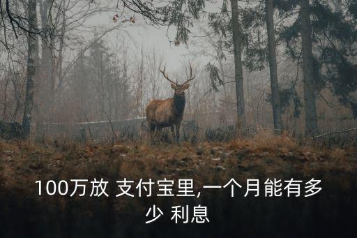 100萬(wàn)放 支付寶里,一個(gè)月能有多少 利息