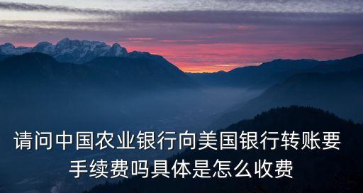 農(nóng)行 國外匯款手續(xù)費是多少錢,農(nóng)行柜臺匯款手續(xù)費怎么收