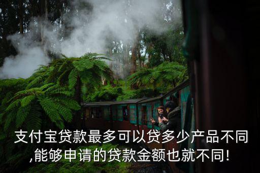 支付寶網(wǎng)商貸額度多少,為什么支付寶網(wǎng)商貸沒有額度了