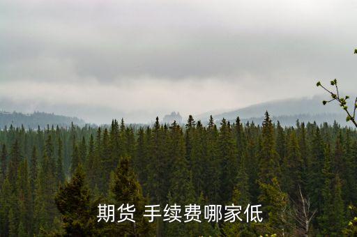  期貨 手續(xù)費哪家低