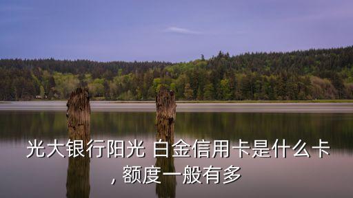 光大白金額度是多少,光大商旅白金信用卡額度