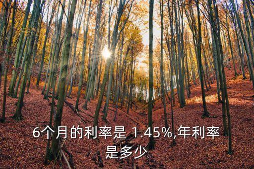 6個(gè)月的利率是 1.45%,年利率是多少