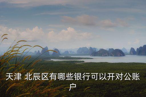 天津 北辰區(qū)有哪些銀行可以開對公賬戶