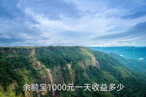  余額寶1000元一天收益多少
