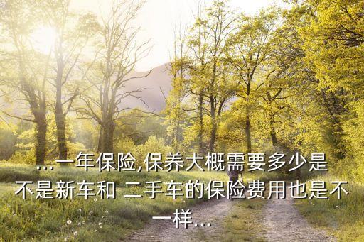 ...一年保險(xiǎn),保養(yǎng)大概需要多少是不是新車和 二手車的保險(xiǎn)費(fèi)用也是不一樣...