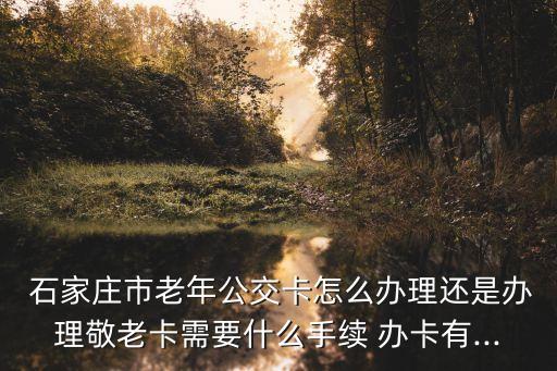 石家莊辦卡中心電話是多少錢,EMS石家莊處理中心電話