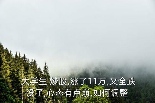  大學(xué)生 炒股,漲了11萬,又全跌沒了,心態(tài)有點(diǎn)崩,如何調(diào)整