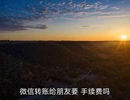 微信轉(zhuǎn)賬給朋友要 手續(xù)費嗎