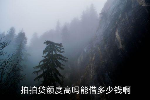  拍拍貸額度高嗎能借多少錢啊