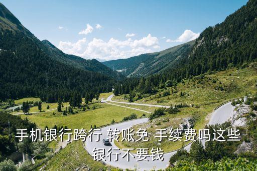 民生 廣發(fā) 光大 轉(zhuǎn)賬手續(xù)費(fèi)多少