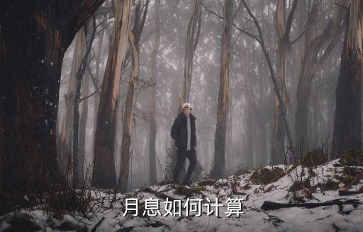 月息一般是多少,年化3.85月息是多少