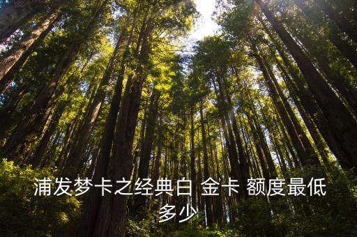  浦發(fā)夢卡之經(jīng)典白 金卡 額度最低多少