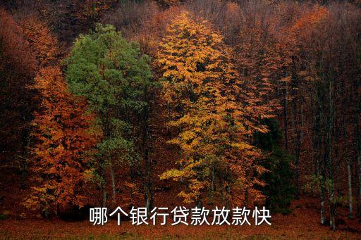 哪個(gè)銀行貸款放款快