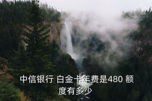 中信標準白金 額度一般多少,中信顏白金標準信用卡額度