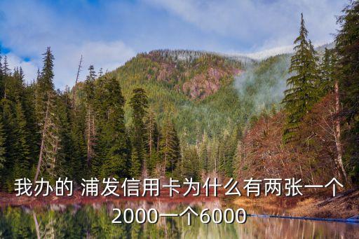 我辦的 浦發(fā)信用卡為什么有兩張一個2000一個6000