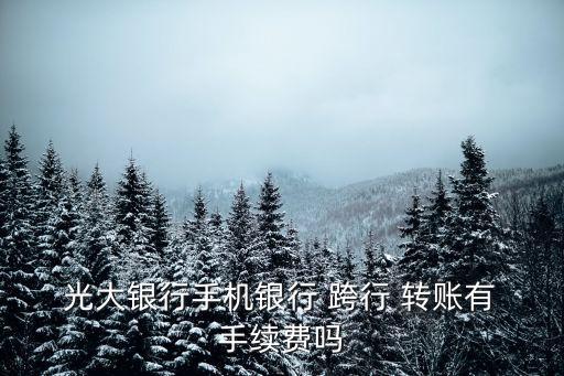  光大銀行手機(jī)銀行 跨行 轉(zhuǎn)賬有 手續(xù)費嗎