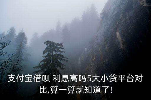 支付寶借唄 利息高嗎5大小貸平臺對比,算一算就知道了!