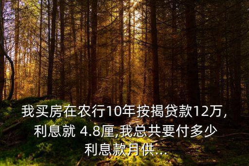 日利息4.8厘年息多少,10貸款年息利率4.8如何算利息