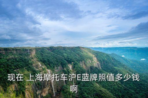 現(xiàn)在 上海摩托車滬E藍(lán)牌照值多少錢啊