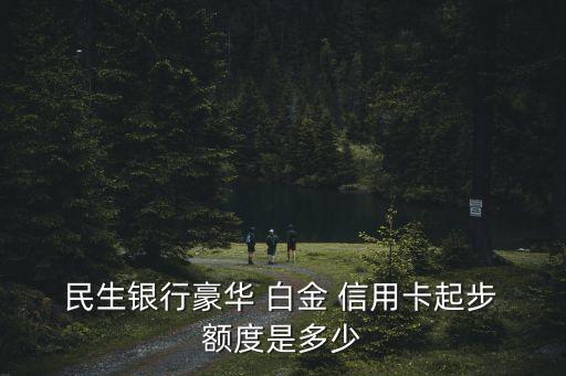 民生信用卡白金額度多少,民生標(biāo)準(zhǔn)白金信用卡額度一般多少