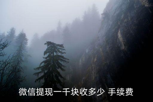 套現(xiàn)1000手續(xù)費(fèi)是多少,便利店套現(xiàn)手續(xù)費(fèi)多少啊