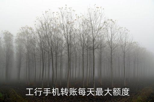  工行手機(jī)轉(zhuǎn)賬每天最大額度