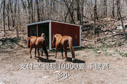  支付寶 提現(xiàn)10000要 手續(xù)費(fèi)多少