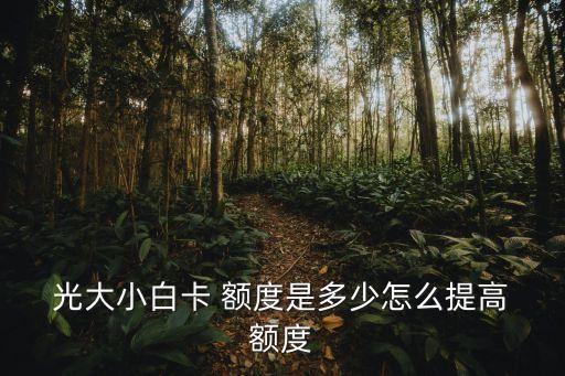 京東光大visa金卡額度是多少錢