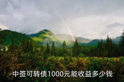  中簽可轉(zhuǎn)債1000元能收益多少錢