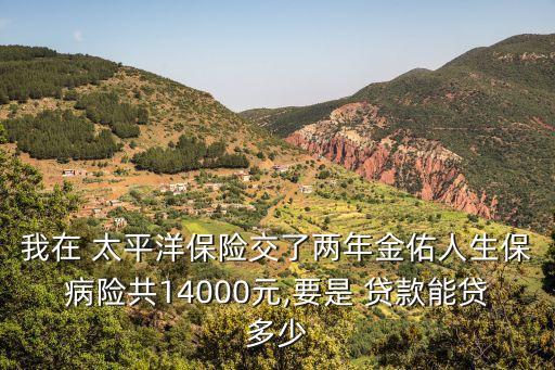 我在 太平洋保險(xiǎn)交了兩年金佑人生保病險(xiǎn)共14000元,要是 貸款能貸多少