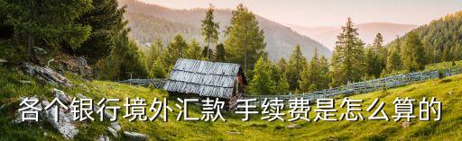 各個(gè)銀行境外匯款 手續(xù)費(fèi)是怎么算的