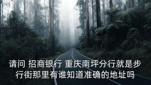 請問 招商銀行 重慶南坪分行就是步行街那里有誰知道準確的地址嗎