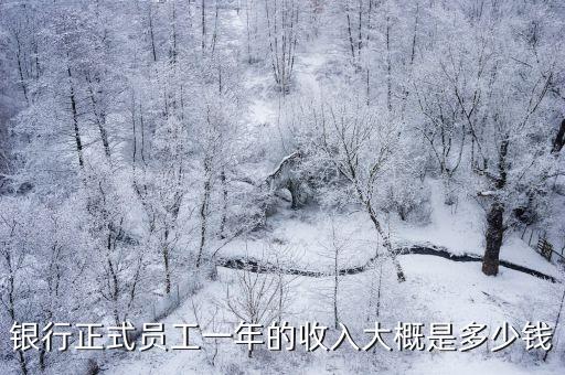 銀行正式員工一年的收入大概是多少錢
