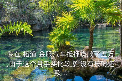 拓道金服加盟多少錢