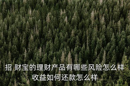 招 財(cái)寶的理財(cái)產(chǎn)品有哪些風(fēng)險(xiǎn)怎么樣收益如何還款怎么樣