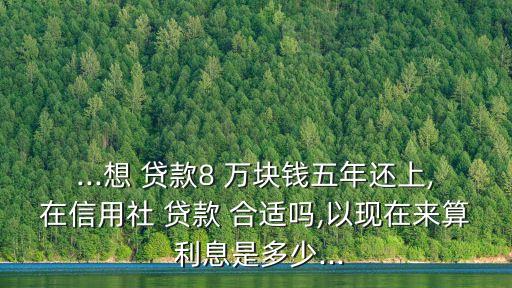 8萬(wàn)塊貸款5年利息多少合適