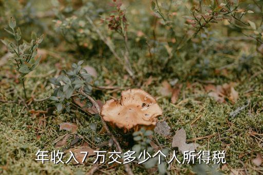 工資7萬交多少稅,一年工資10萬要交多少稅