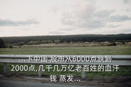 ...下中國 股市從6000點(diǎn)跌到2000點(diǎn),幾千幾萬億老百姓的血汗錢 蒸發(fā)...