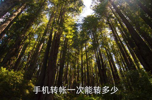 轉(zhuǎn)賬最多一次轉(zhuǎn)多少錢,可以轉(zhuǎn)賬的第三方支付平臺