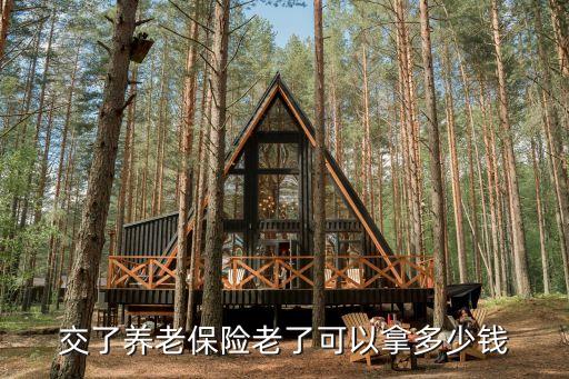 交了養(yǎng)老保險老了可以拿多少錢